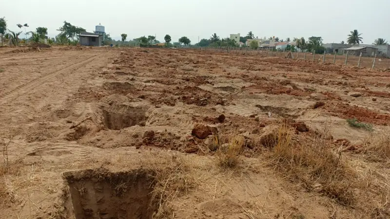 Freshly dug pits across bare ground