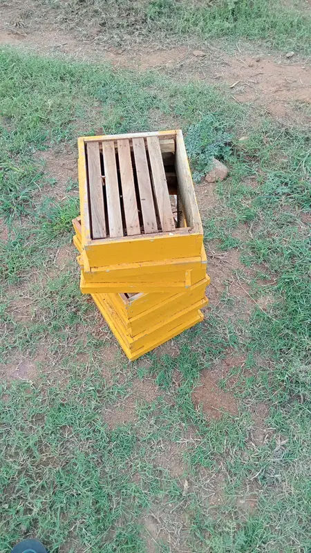 One of the ten bee boxes